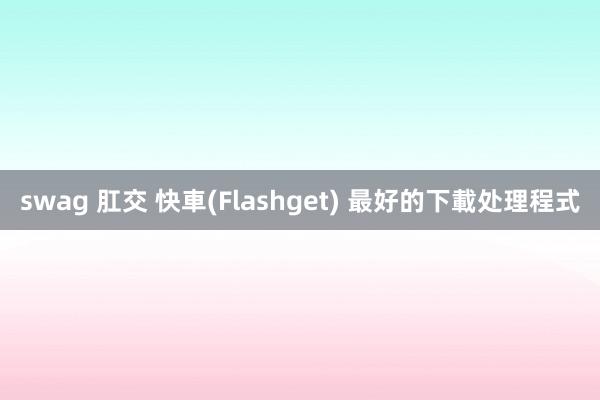 swag 肛交 快車(Flashget) 最好的下載处理程式