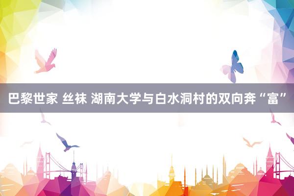 巴黎世家 丝袜 湖南大学与白水洞村的双向奔“富”