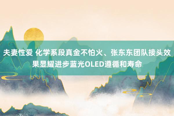 夫妻性爱 化学系段真金不怕火、张东东团队接头效果显耀进步蓝光OLED遵循和寿命