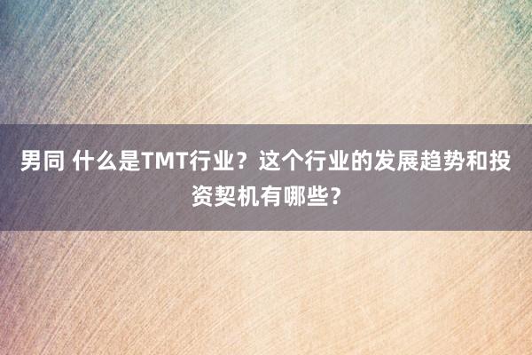 男同 什么是TMT行业？这个行业的发展趋势和投资契机有哪些？