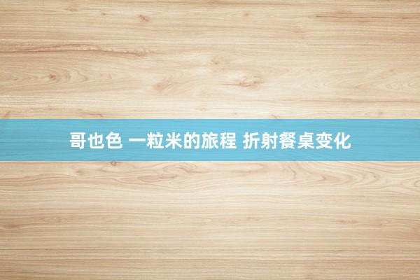 哥也色 一粒米的旅程 折射餐桌变化