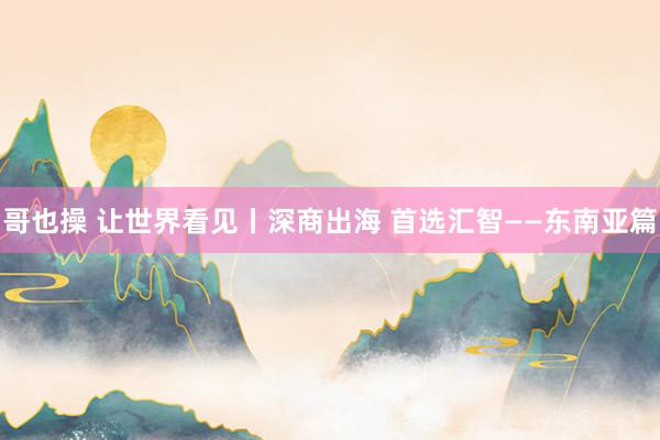 哥也操 让世界看见丨深商出海 首选汇智——东南亚篇