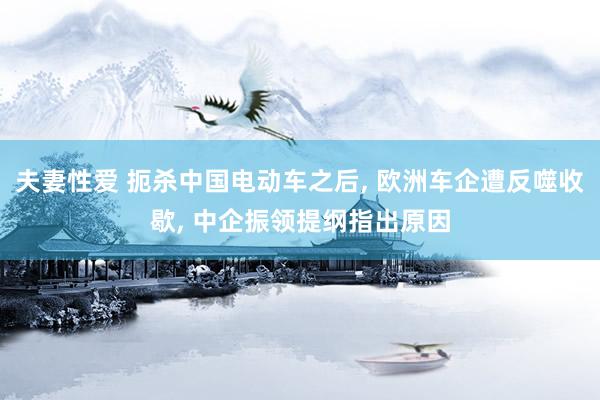 夫妻性爱 扼杀中国电动车之后， 欧洲车企遭反噬收歇， 中企振领提纲指出原因