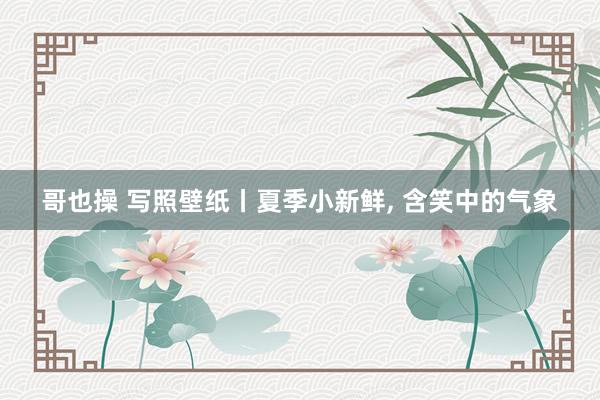 哥也操 写照壁纸丨夏季小新鲜， 含笑中的气象