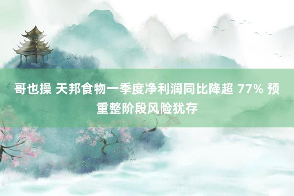 哥也操 天邦食物一季度净利润同比降超 77% 预重整阶段风险犹存